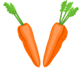 Carrot Halfs