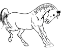 Prancing horse outline