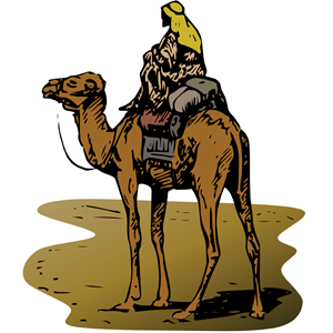 Camel with Rider