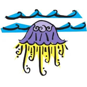 Jellyfish Clipart