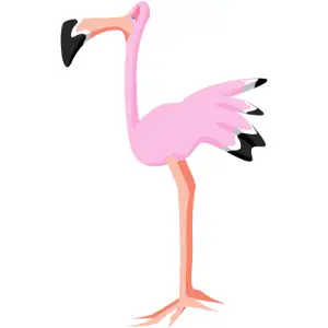 Flamingo Clipart