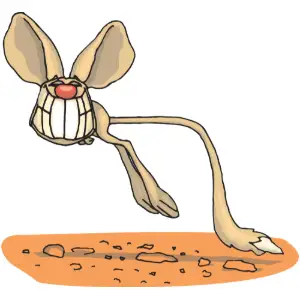 Jerboa Grinning Clipart