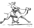 Man riding camel