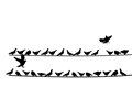 Skumar-Birds