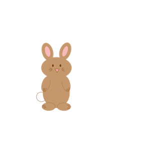 Rabbit No Smile