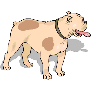 Bulldog 03