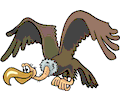 Vulture Flying 2