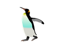 emperor penguin ralf ste 01