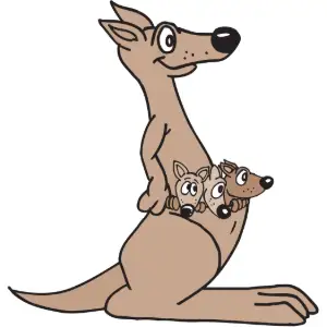 Kangaroo Family Clipart