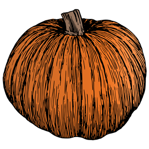 Pumpkin - Colour
