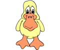 Duck 025