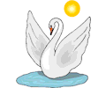 Swan 20