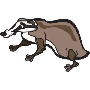Badger Clipart