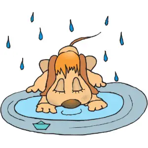 Dog Drinking Clipart
