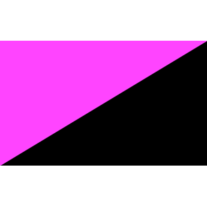 Anarcho-queer flag