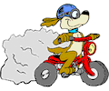 Dog Riding Motorcycle