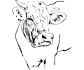 Cow art