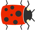 Simple Cartoon Ladybug