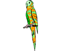 Parrot 12