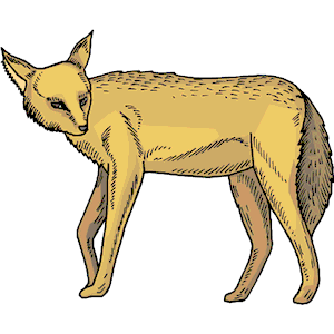 Hyena