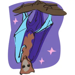 Bat Clipart