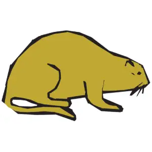 Beaver Clipart