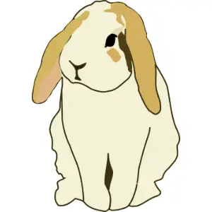 Lop eared rabbit Clipart
