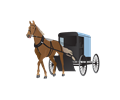 Amish Buggy and Horse
