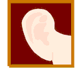 Ear 02