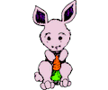 Bunny 18