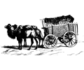 Camel-drawn wagon
