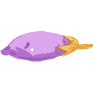 eggplant 02