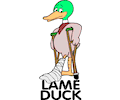 Leme Duck