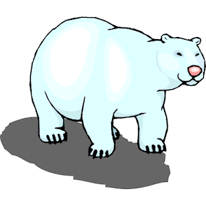 Bear Polar