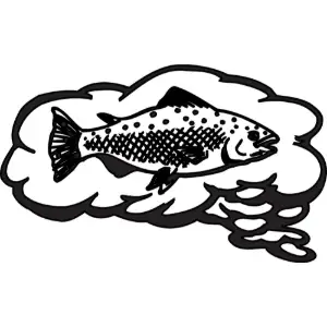 Fish Thoughts Clipart