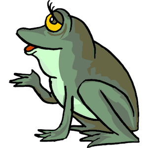Frog 26