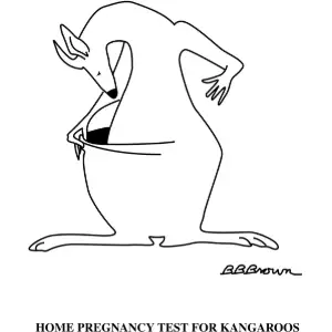 Kangaroo Pregnancy Test Clipart