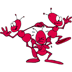 Ants - Acrobats