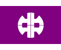Flag of Nakanojo, Gunma