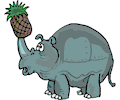 Rhino with Pineapple