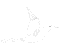 Seagull 04