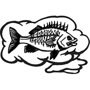 Fish Thoughts Clipart