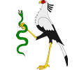 Secretary bird holding a snake