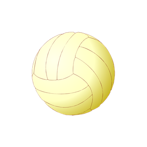 volley ball andrea bianc 01