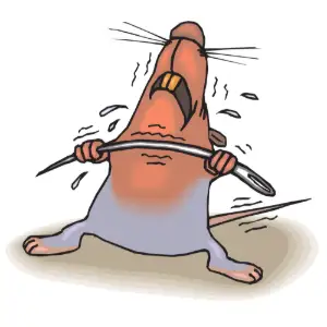 Mouse Bending Needle Clipart