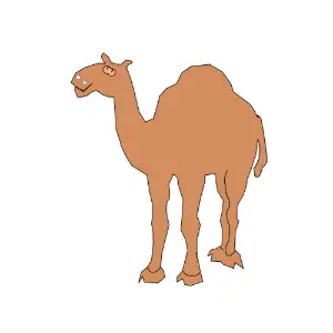 Camel Clipart