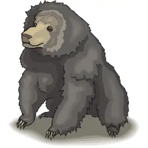Bear Clipart