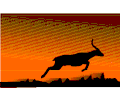 Deer - Graphic 2