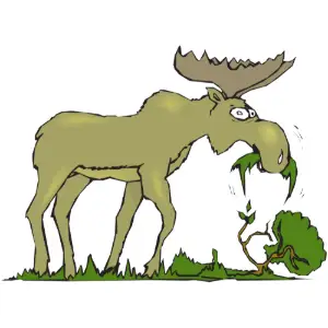 Moose Eating Clipart