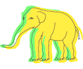 Elephant 18